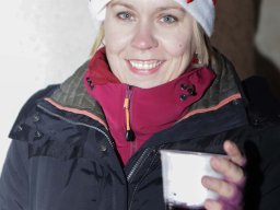 AdventsFenster17